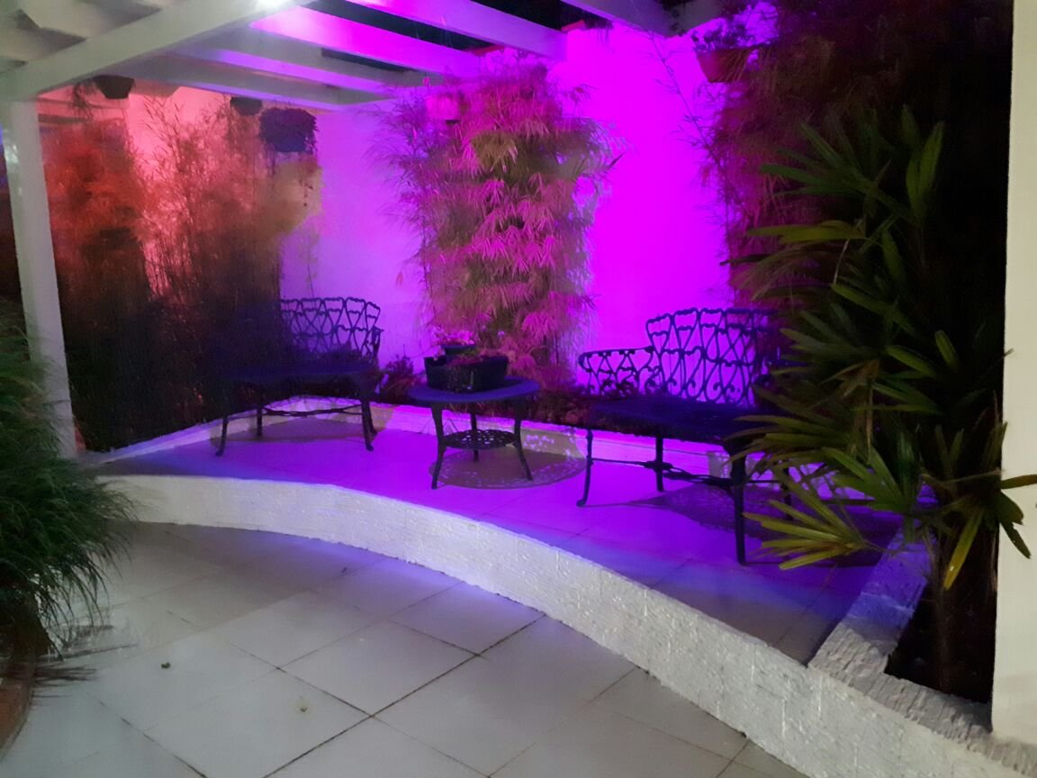 Chacara Sonho Verde Top - foto 50